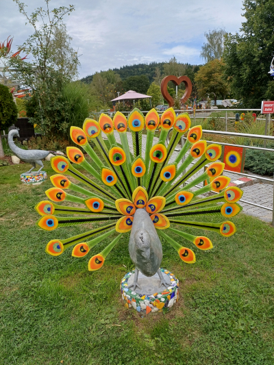 Tag1